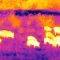 Flir ARMASIGHT Prometheus