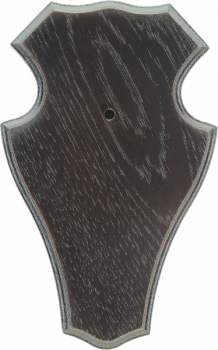 N/A Gehörnbrettchen Rehbock Eiche dunkel