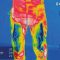 PSS X-treme Protect Sauenschutzhose