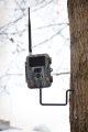 Dörr Baumschraube 1/4” für Wild- & Überwachungskamera