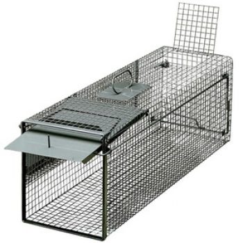 Falle Lebendfang ? eintürig