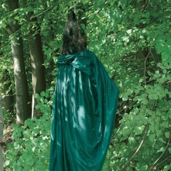 Wald & Forst iegenschutznetz