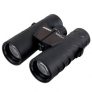 Steiner Fernglas Safari UltraSharp 10×42