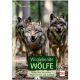 Müller Rüschlikon Buch: Wildlebende Wölfe